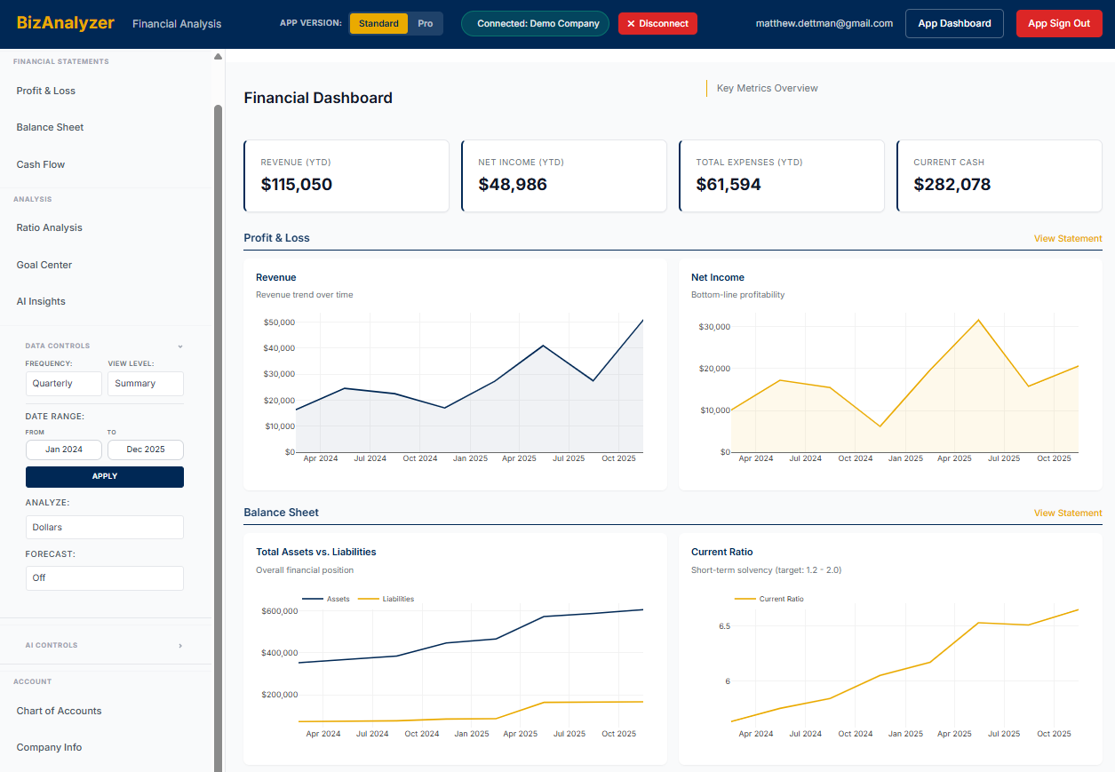 BizAnalyzer dashboard showing financial metrics, KPIs, and trend analysis